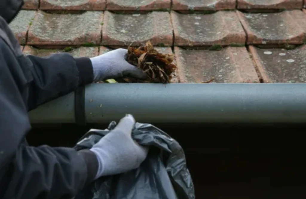 What are the most common mistakes in gutter cleaning?