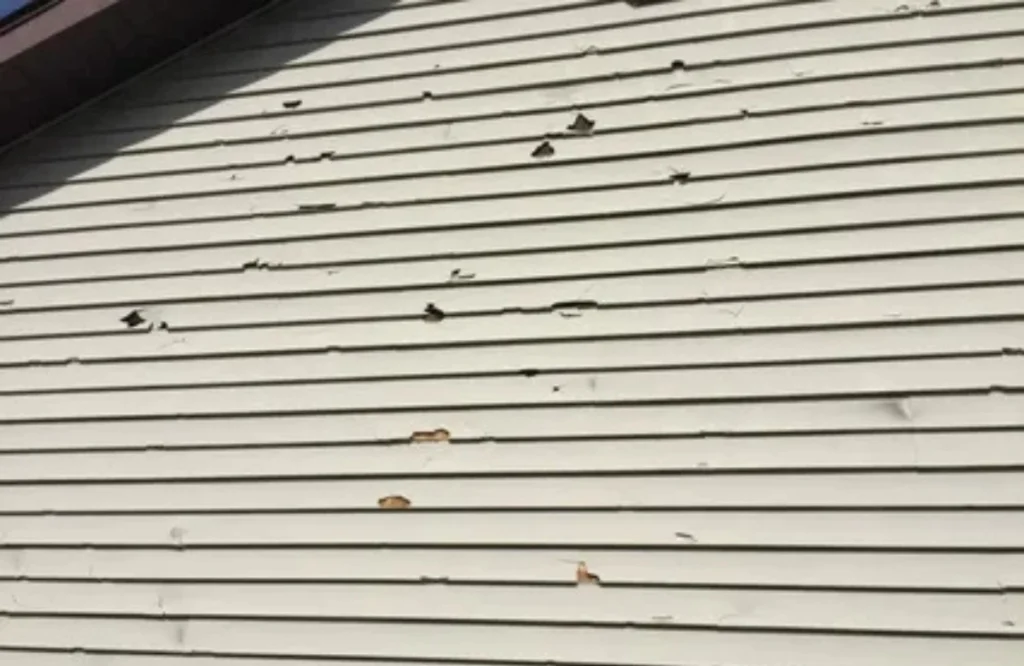 What Are the Most Common Causes of Siding Damage